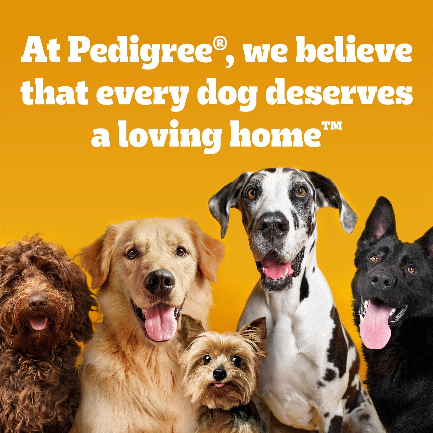 Pedigree BISCROK Adult Dog Treats Multi Mix Biscuits 12 x 500g