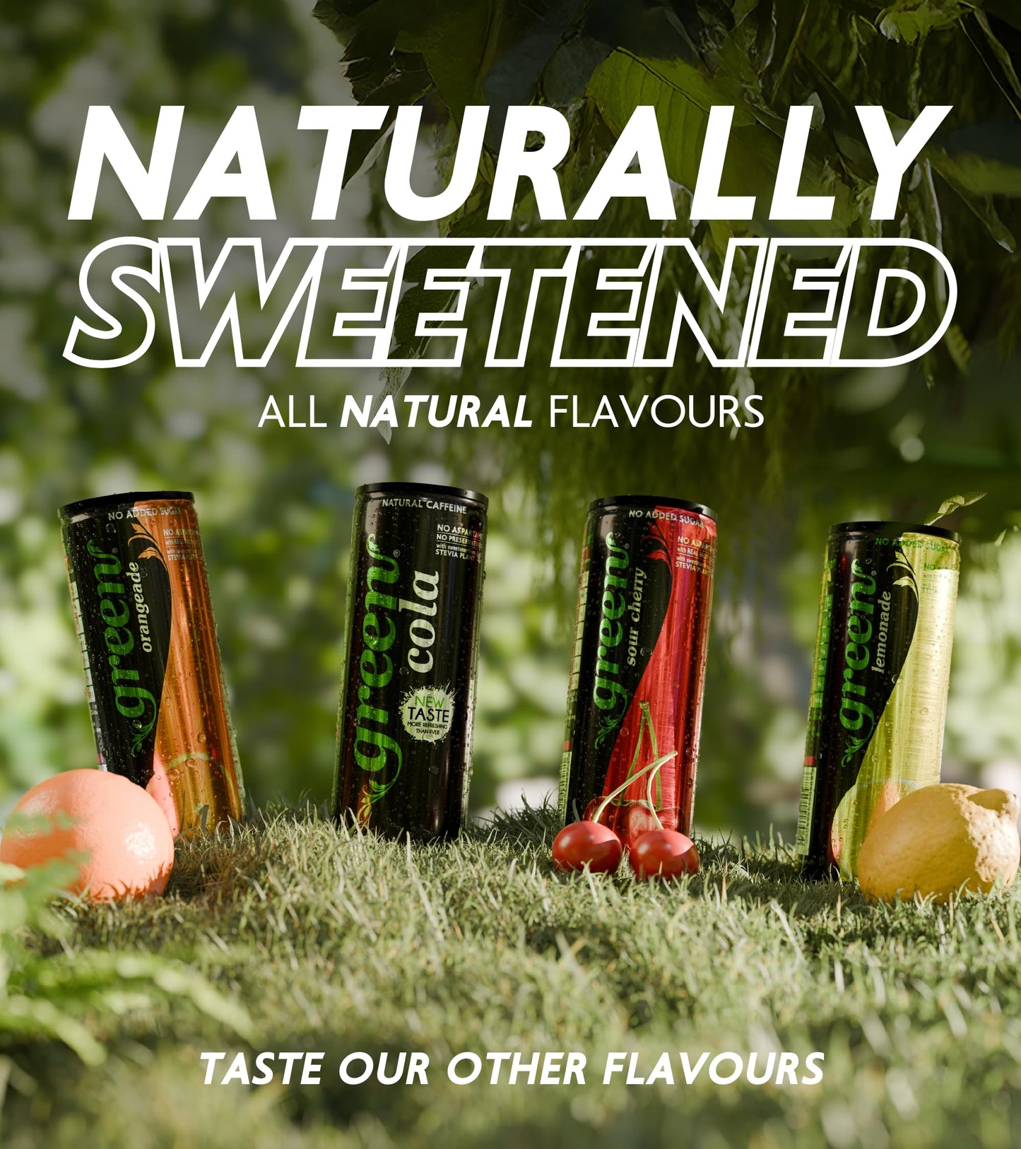 Green - Low Calorie Soft Drink - Sweetened with Stevia, Sugar-Free, Naturally Caffeinated from Green Coffee Beans, No Aspartame - Delicious and Healthy Alternative