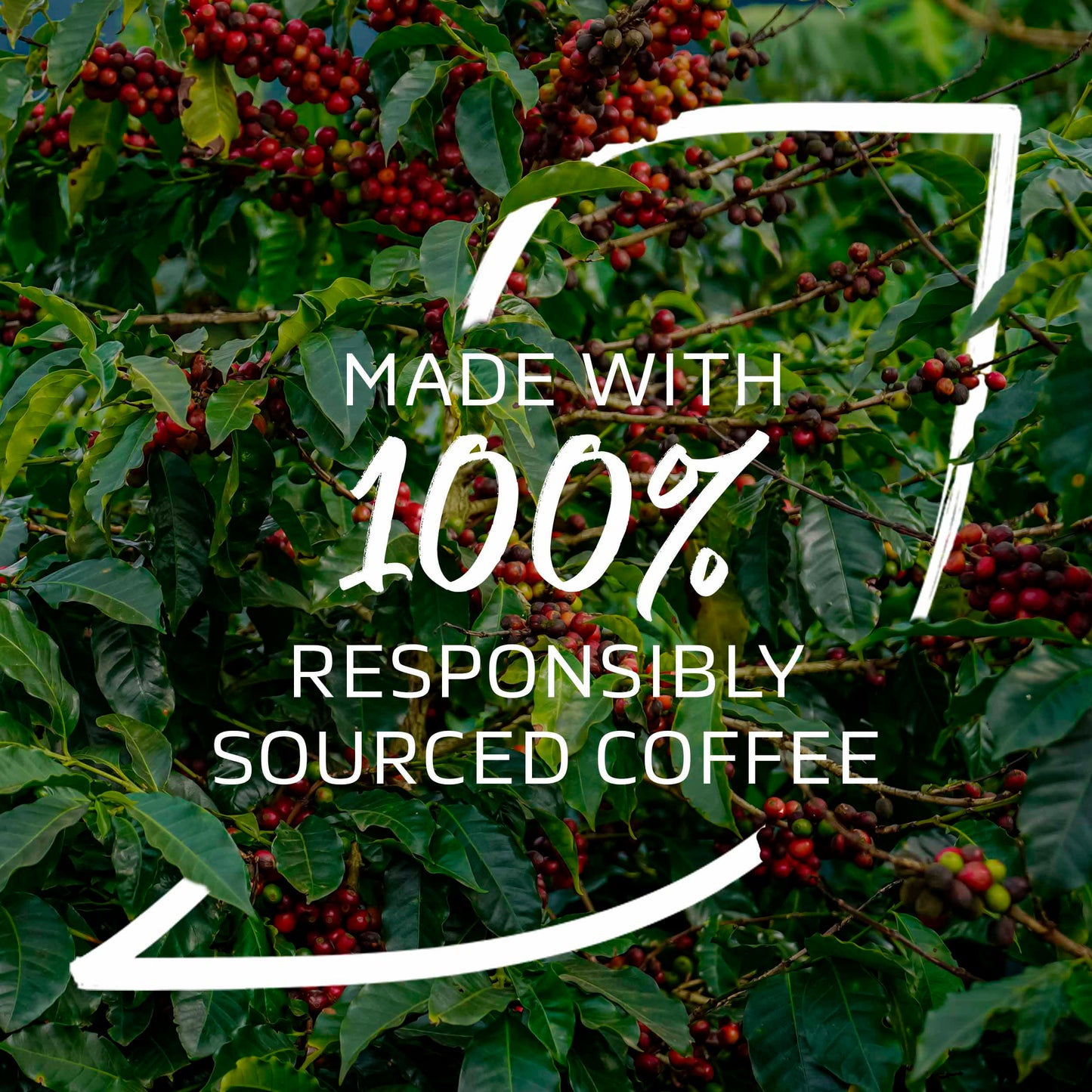 NESCAFÉ Nescafe Vanilla Cookie Dough Latte 7 x 19.5g Sachets, 100% Responsibly Sourced Coffee