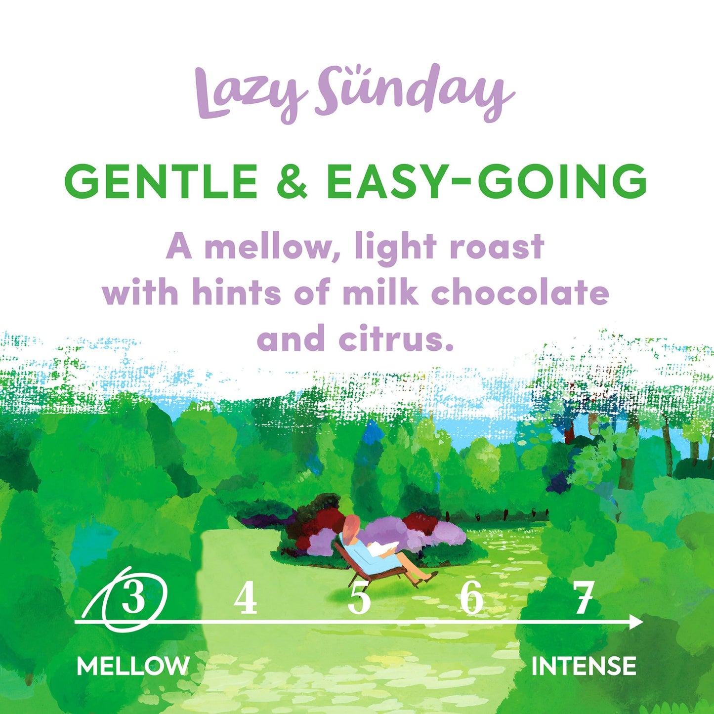 Taylors of Harrogate Lazy Sunday Ground Coffee 200 g
