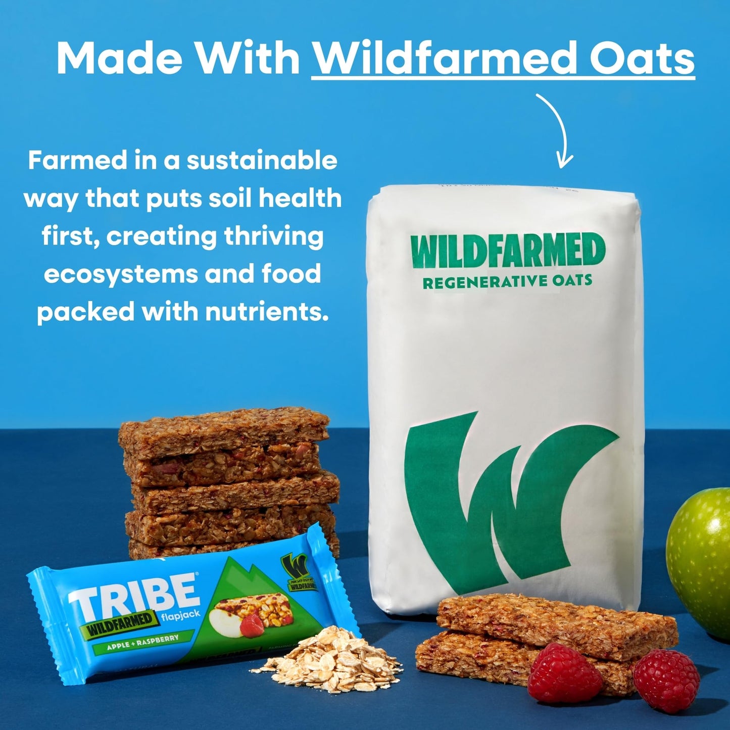 TRIBE x Wildfarmed Vegan Flapjack Bars - Blueberry & Almond Butter Oat Bars (3 x 50g Multipack Box) | Healthy Energy Snacks | Source Of Fibre, Natural Ingredients | Sustainable Oats | Breakfast Bars