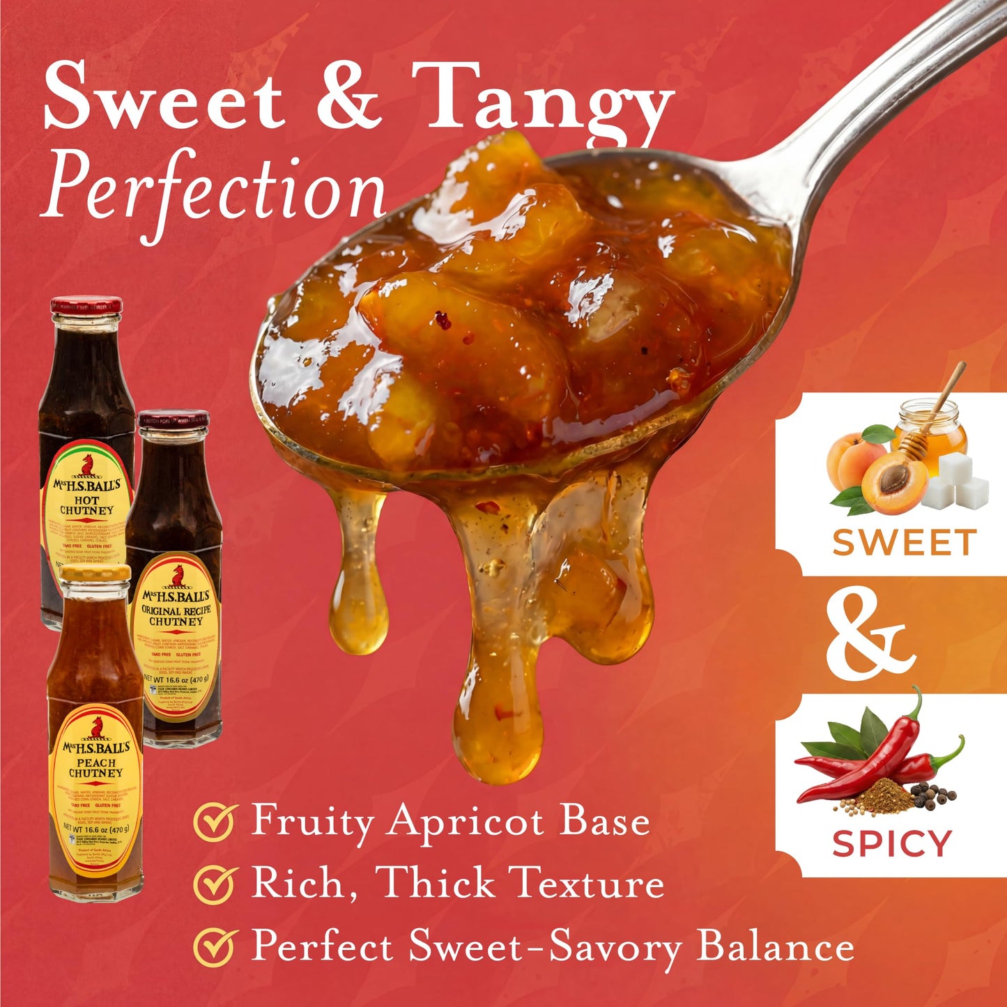 Mrs H.S. Mrs Balls Peach Chutney (2 X 470G Pack)