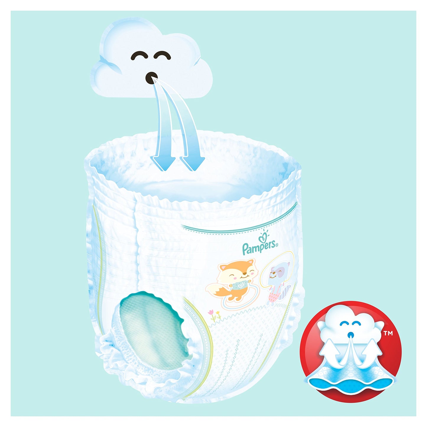 Pampers Baby Dry Pants ,Size 6 (76 Pants)