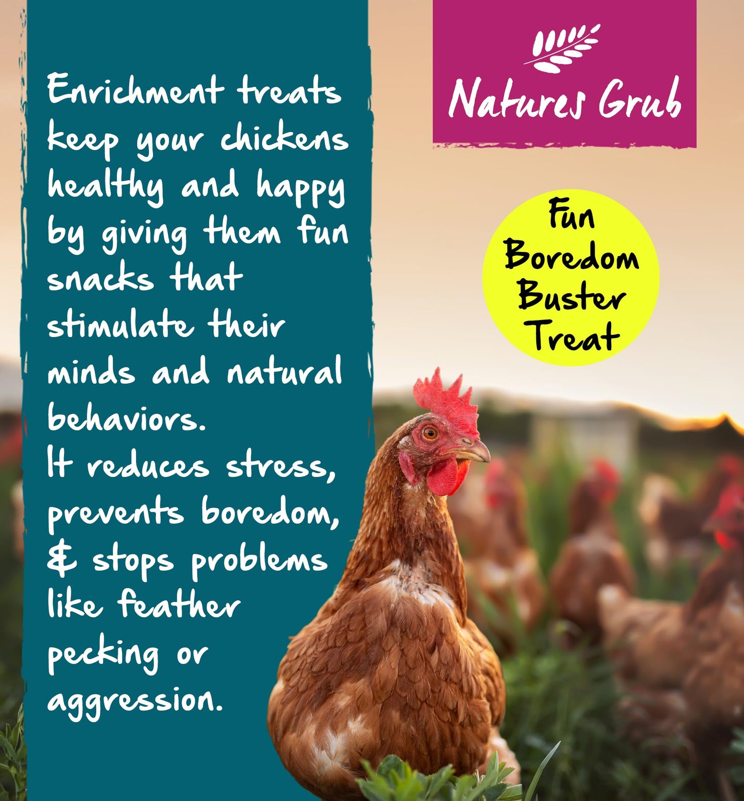 Natures Grub Apple Cider Vinegar 1ltr | Natural Feed Supplement for Chickens & Poultry, Digestion Support, Unpasteurised with Mother, Parasite Repellent, Manufactured in the UK