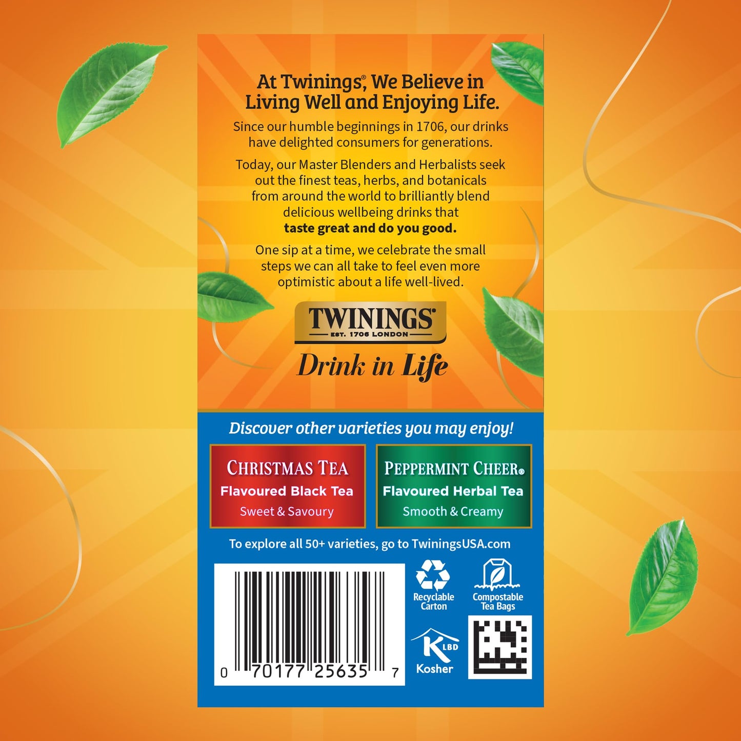 Twinings Winter Spice 20 Tea Bags