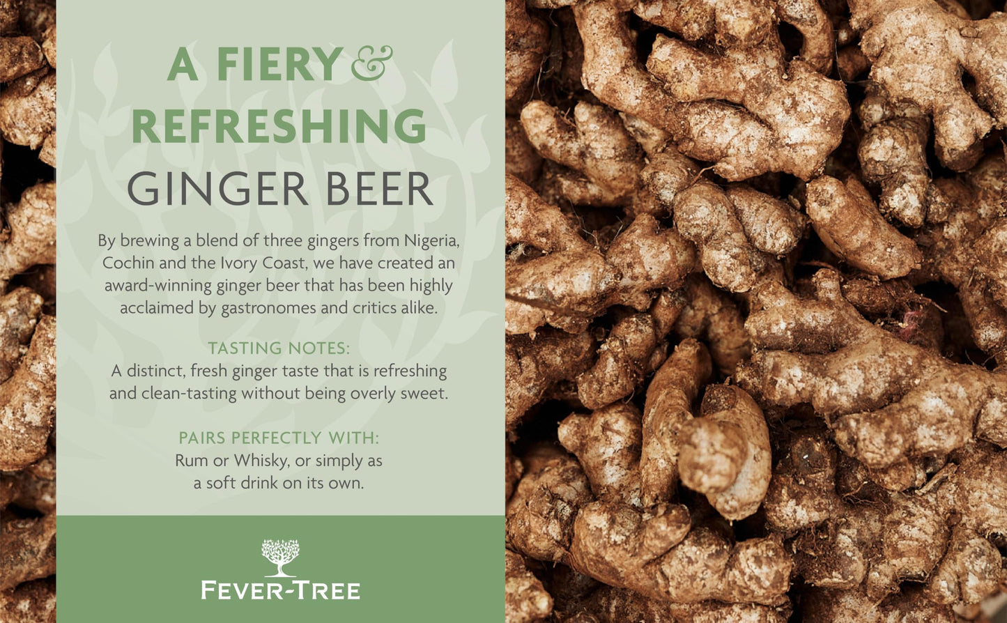 Fever-Tree Premium Ginger Beer 24 x 150ml