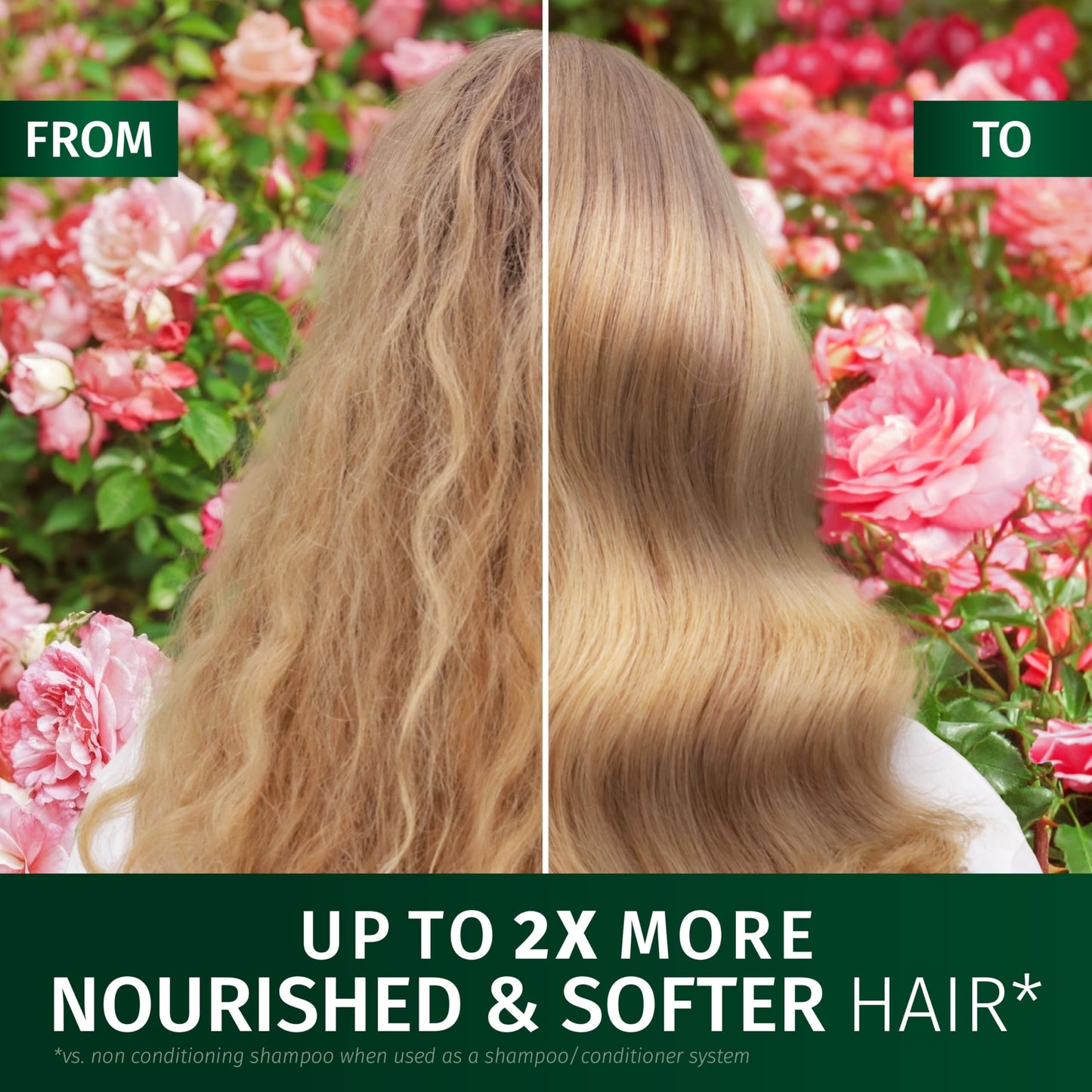 Herbal Essences Rose Scent Petal Soft Shampoo 650ml to Help Dry Hair Feel Silky and Nourished, Blended with Rose Essence and Natural Origin Ingredients, Silicone Free, Vegan and Cruelty Freerefers
