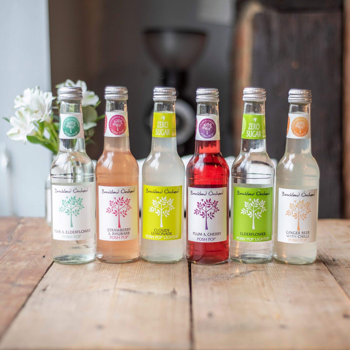 Breckland Orchard | Ginger Beer with Chilli Posh Pop | 275ml x 12 Bottles