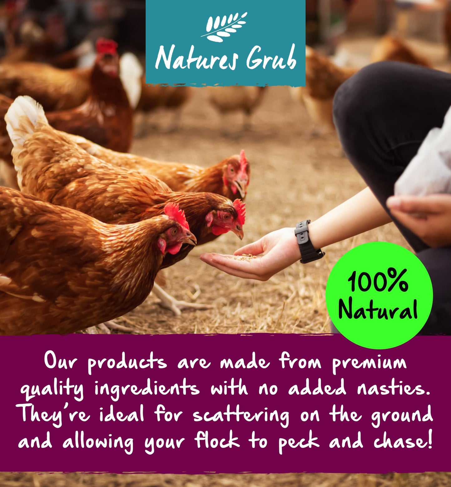 Natures Grub Apple Cider Vinegar 1ltr | Natural Feed Supplement for Chickens & Poultry, Digestion Support, Unpasteurised with Mother, Parasite Repellent, Manufactured in the UK