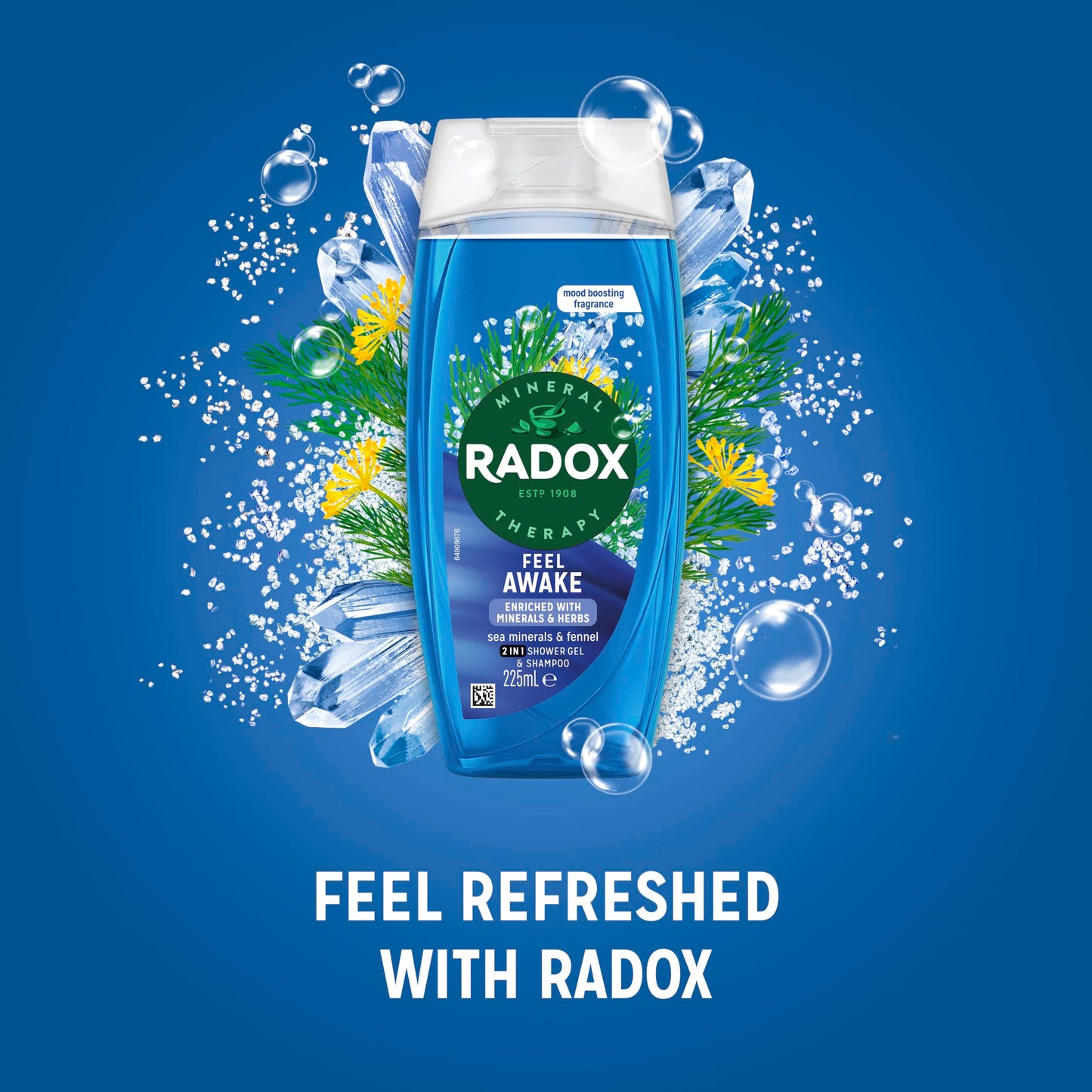 Radox Mineral Therapy Feel Awake 2-in-1 Shower Gel & Shampoo 225 ml