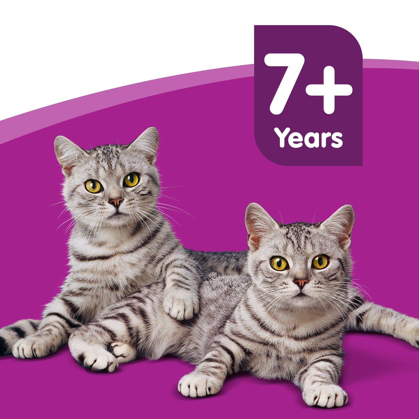Whiskas 7+ Cat Wet Food in Pouch for Senior Cats, Pure Delight Fish Selection in Jelly, 12x 85g