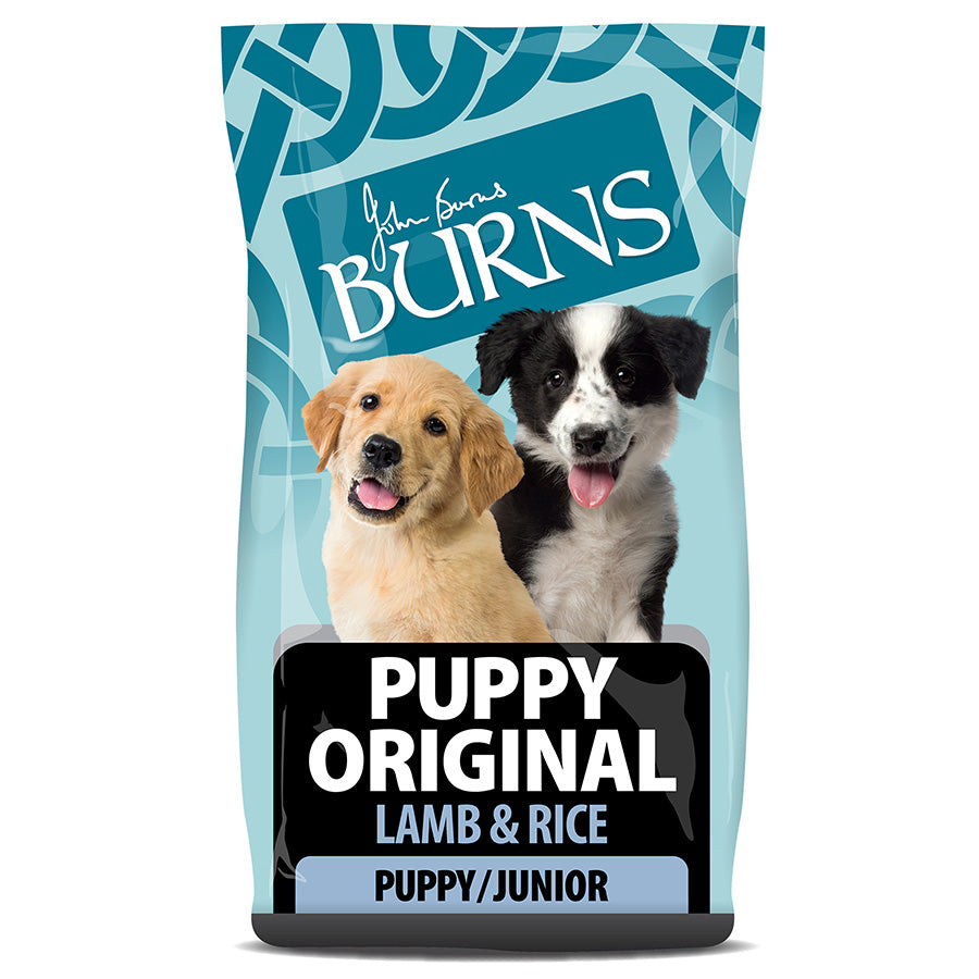 Burns Original Dry Puppy Food Lamb & Rice 2kg