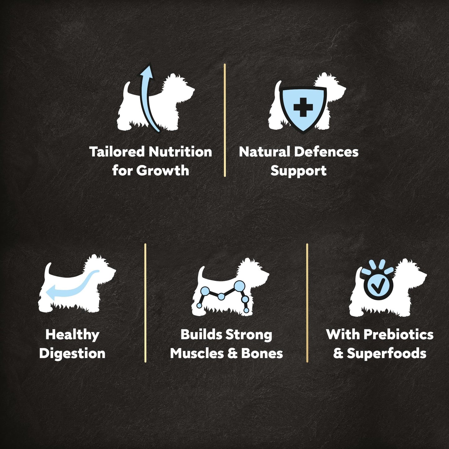 CESAR Junior Dry Dog Food with Fresh Chicken, Rice and Vegetables 5 x 1.4Kg
