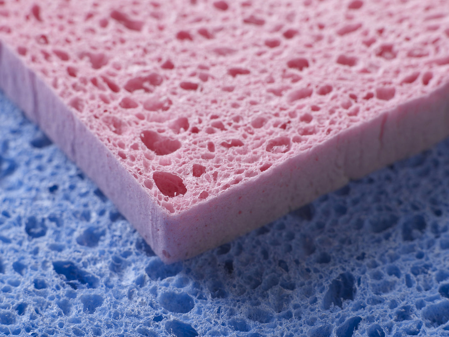 Spontex 12 Thick Sponge Moppets Value Pack 16 x 12cm Super Absorbent & Supple Plant-Based Cleaning Sponges 12 Count