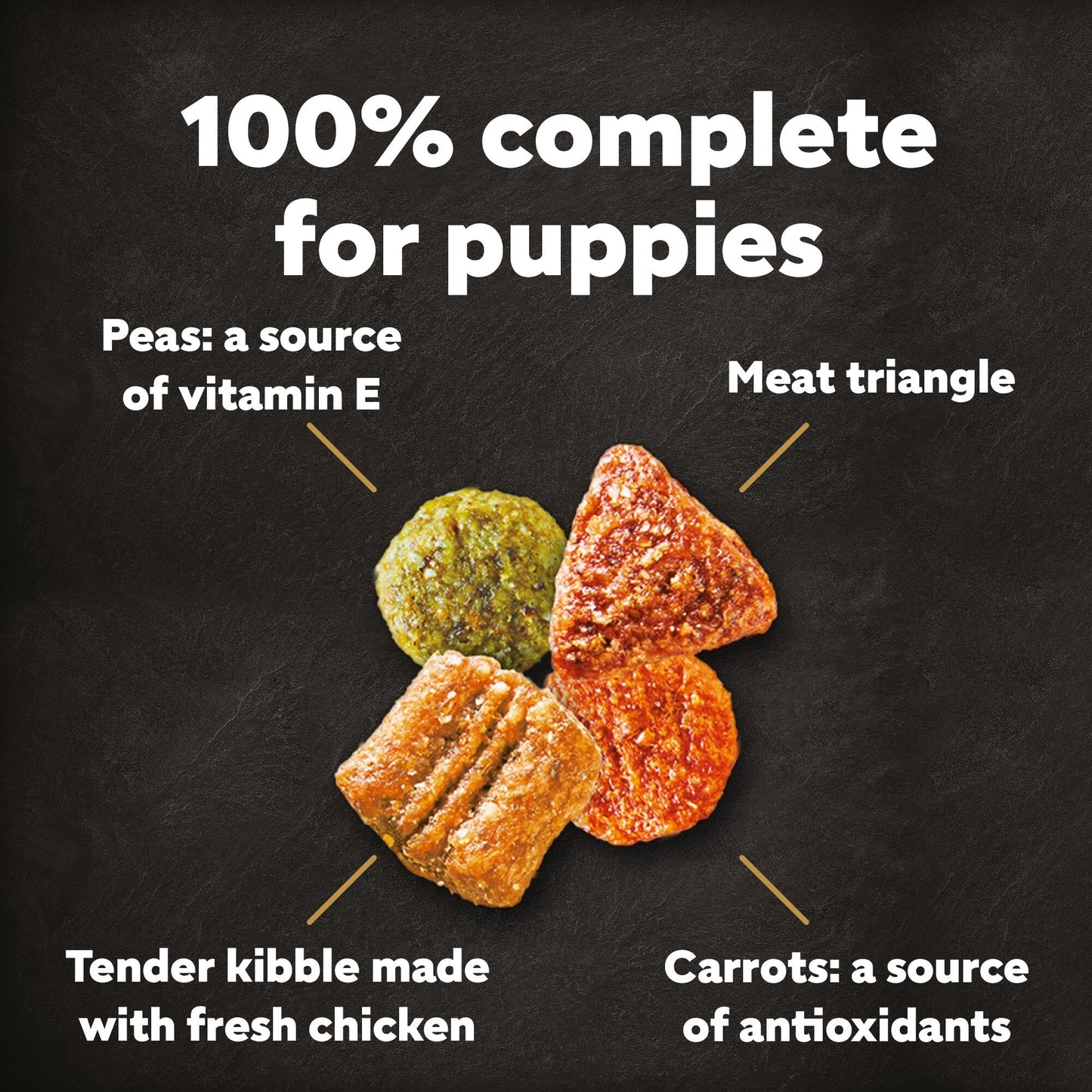 CESAR Junior Dry Dog Food with Fresh Chicken, Rice and Vegetables 5 x 1.4Kg