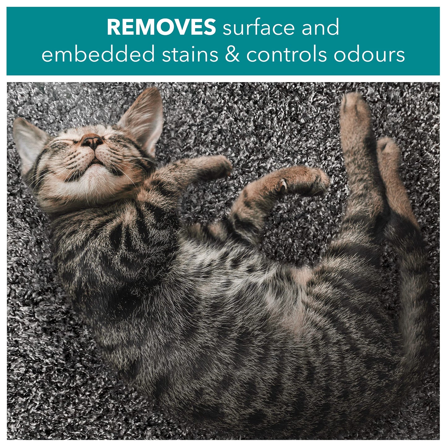 RSPCA Wee-Away Pet Friendly Stain and Odour Remover, 500 ml, Clear