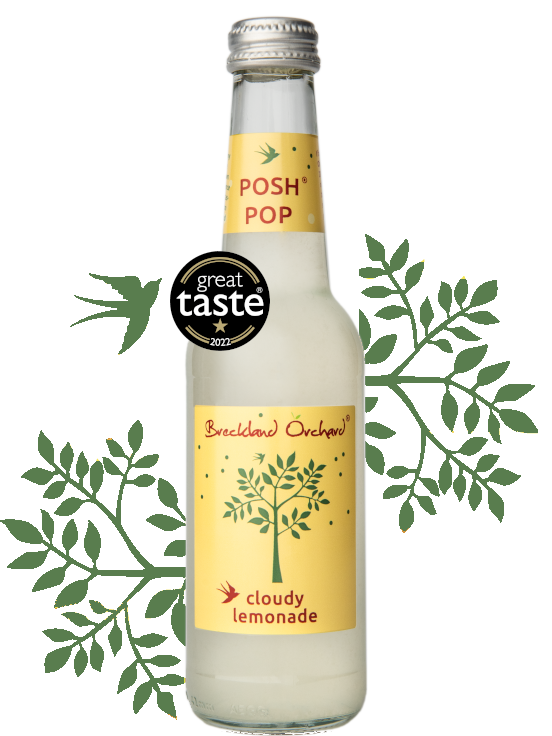 Breckland Orchard Posh Pop - Cloudy Lemonade 275Ml
