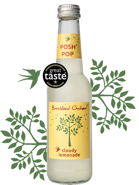 Breckland Orchard Posh Pop - Cloudy Lemonade 275Ml