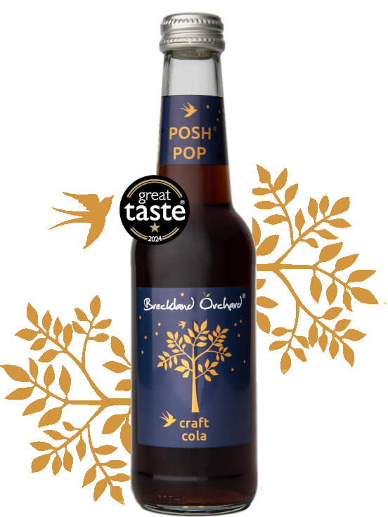 Breckland Orchard Posh Pop - Craft Cola 275Ml