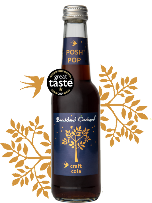Breckland Orchard Posh Pop - Craft Cola 275Ml