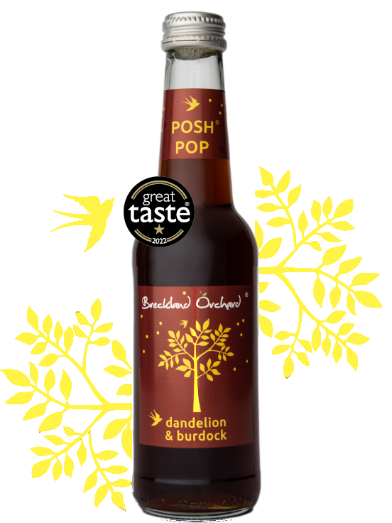 Breckland Orchard Posh Pop - Dandelion & Burdock 275Ml