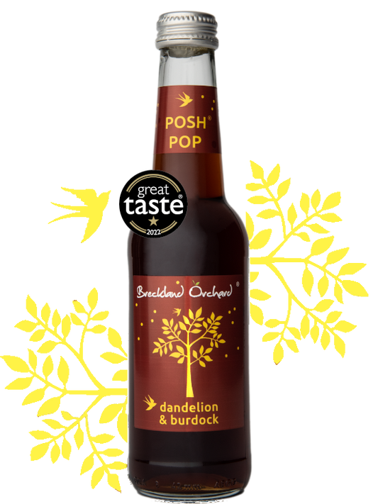 Breckland Orchard Posh Pop - Dandelion & Burdock 275Ml