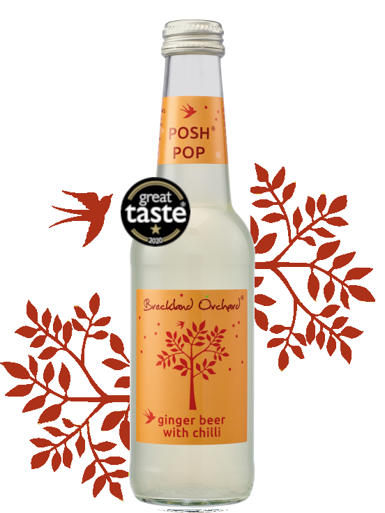 Breckland Orchard Posh Pop - Ginger Beer With Chilli 275Ml