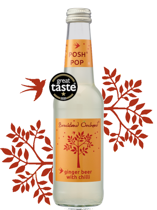 Breckland Orchard Posh Pop - Ginger Beer With Chilli 275Ml