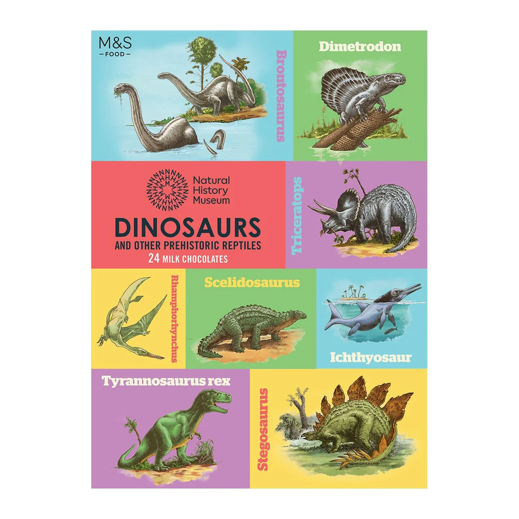 M&S Natural History Museum Advent Calendar 80g